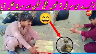 Eid Special New Trending Comedy Video 2024Amazing Funny Video Episode 147 By Our Fun Tv