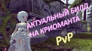 PvP БИЛД КРИОМАНТ - АКТУАЛЬНЫЙ БИЛД 95 ЛВЛА