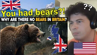 American Reacts Why Are There No Bears in Britain?