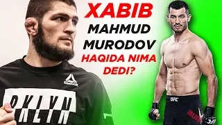 ХАБИБ МАХМУД МУРАДОВ га ВАЗН ТАШЛАШНИ ТАВСИЯ ҚИЛДИ | Makhmud Muradov UFC