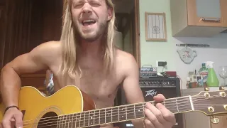 Nirvana Heart shaped Box acoustic cover