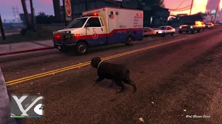 GTA Online | I Became a Rottweiler like Chop! Chaos Ensued