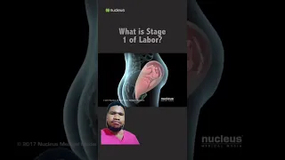 What is stage 1 of labor? #pregnancy #educational #shorts