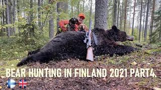 Karhujahti 2021 osa 4 || Bear hunting 2021 part 4