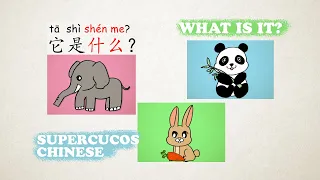 学中文-它是什么?-动物 | Learn Chinese for kids - What Is It? - Animals | Aprender Chino - Qué es?