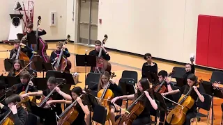 LTMS orchestra