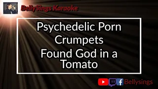 Psychedelic Porn Crumpets - Found God in a Tomato (Karaoke)