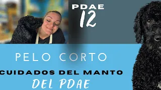 PDAE 12 - Pelo Corte CUIDADOS DEL MANTO del PDAE