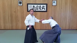 Yoshi Shibata  Ikkyo exercise with Aiki Age and Sage