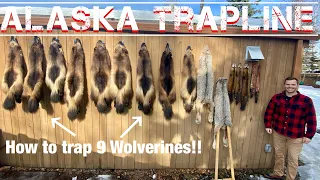 2021-2022 Wolverine Trapping Highlights