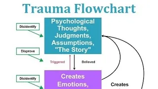 How to Heal Trauma with Somatic Experiencing -Nina Goradia SEP