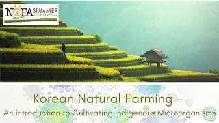 Korean Natural Farming Introduction to Cultivating Indigenous Microorganisms with Ben Morgan-Dillon
