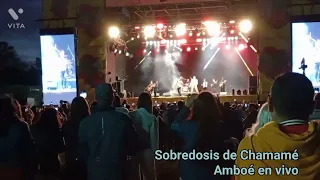 Sobredosis de Chamamé - Amboé en vivo en el Festival Chamamé BA