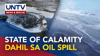 Pola, Oriental Mindoro, isinailalim sa state of calamity dahil sa MT Princess Empress oil spill