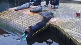 Sea lion knocks her Iphone out of her hand!