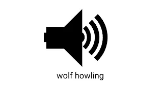 wolf howling sound effect (royalty free)