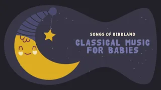 Relaxing piano ❤️ Classical Music for Babies❤️ Calming songs for your baby