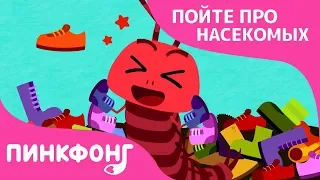 100 туфелек многоножки | Песни про насекомых | Пинкфонг песни для детей