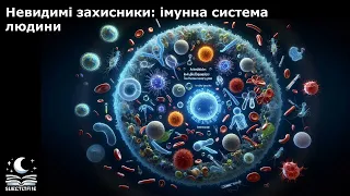 Невидимі захисники: імунна система людини