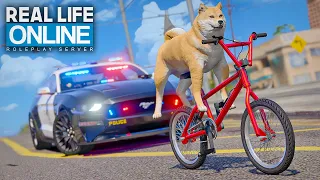 1 TAG ALS SHIBA INU! 🐕 | GTA 5 RP Real Life Online