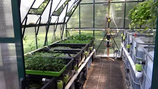 Aquaponics Greenhouse Tour Summer 2023