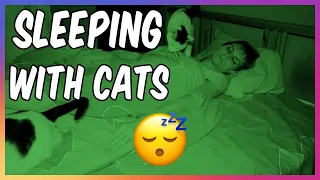 LIVING WITH CATS - Sleeping With Cats