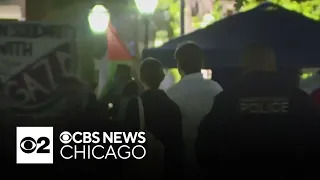 Expert: University of Chicago was right to bring in police to deescalate protest