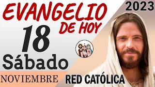 Evangelio de Hoy Sabado 18 de Noviembre de 2023 | REFLEXIÓN | Red Catolica