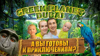 The Green Planet Dubai ТРОПИЧЕСКИЙ РАЙ с РЕДКИМИ ЖИВОТНЫМИ | City Walk Dubai | Отдых в Дубае