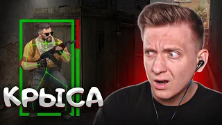 Читер - Крыса в CS:GO / PUBG