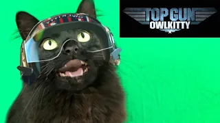 Top Gun with a Cat (Behind the Scenes)