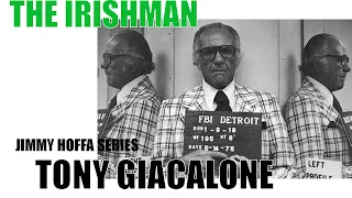 The Irishman |Tony Jack Giacalone | Detroit Mob & Jimmy Hoffa