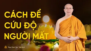 Làm sao để người mất được siêu thoát, tái sinh về cảnh giới an lành? | Thầy Thích Trúc Thái Minh