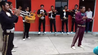 Mariachi Mahanaim Madrecita Querida