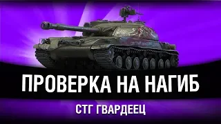 ПРОЕКТ "ТОП-1 ТВИНК" - СТГ Гвардеец