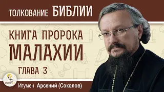 Книга пророка Малахии. Глава 3 "Можно ли человеку обкрадывать Бога ?"  Игумен Арсений (Соколов)