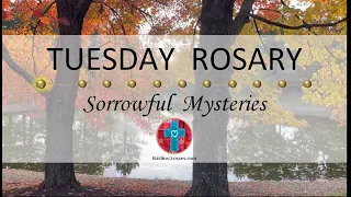 Tuesday Rosary • Sorrowful Mysteries of the Rosary 💜 Autumn, Trees by the Pond