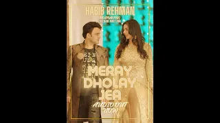 Meray Dholay jia by Habib Rehman Ft Deedar Multani:  WAQAS ALI: New Punjabi Saraiki 2024 Song: