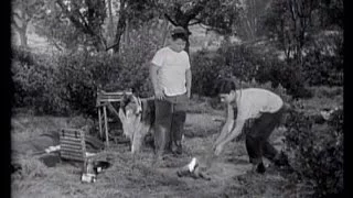Lassie - Episode 91 - "Survival" Season 3, #26 (03/03/1957)