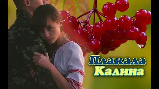 Плакала калина - Polina Dashkova (2022)