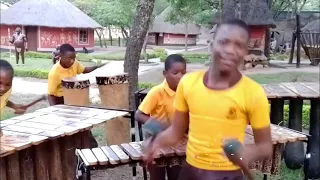 Marimba Trio 2 - Wise Owl Primary (International Virtual African Music Festival) 2nd Position.