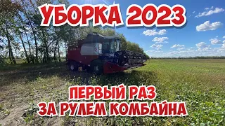 Началась уборка пшеницы! Работаю на комбайне Vector 410. Засуха погубила весь урожай