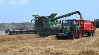 Harvest 2023 - Combining Winter Barley with John Deere S690i and two Fendt 720s Carting