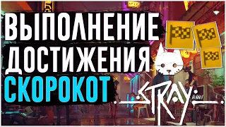 Stray | Достижение Скорокот | Как пройти Stray за 2 часа | Speedrun Stray