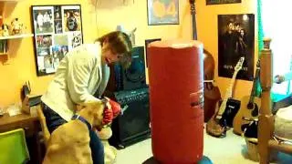 Ranger attacking boxing gloves