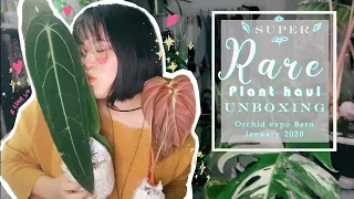 ✨🌿 SUPER RARE Plant Haul Unboxing 🌿✨| January 2020 | Orchid Expo Bern