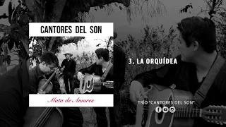 La Orquídea-Cantores del Son