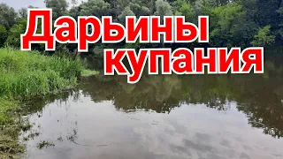 Дарьины купания!Купание собаки в реке!Bathing your dog in the river!