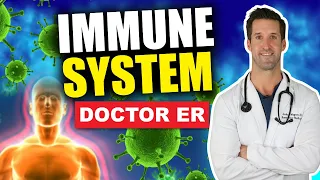 How Do You Boost Your Immune System? – Immune System Explained | Doctor ER