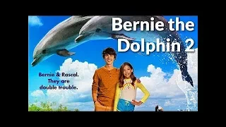 Bernie the Dolphin 2